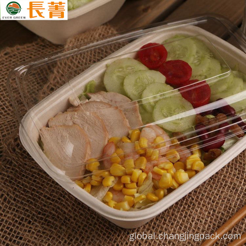 Healthy And Safe Bento Lunch Box Hot Sale Disposable Sugarcane Bagasse Lunch Box Container Factory